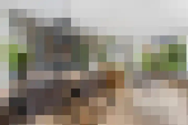 Ravelstraat 78 Ridderkerk thumbnail 7