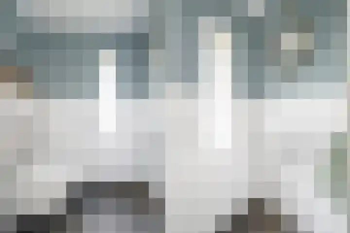 Ravenbos 1 Chaam thumbnail 12