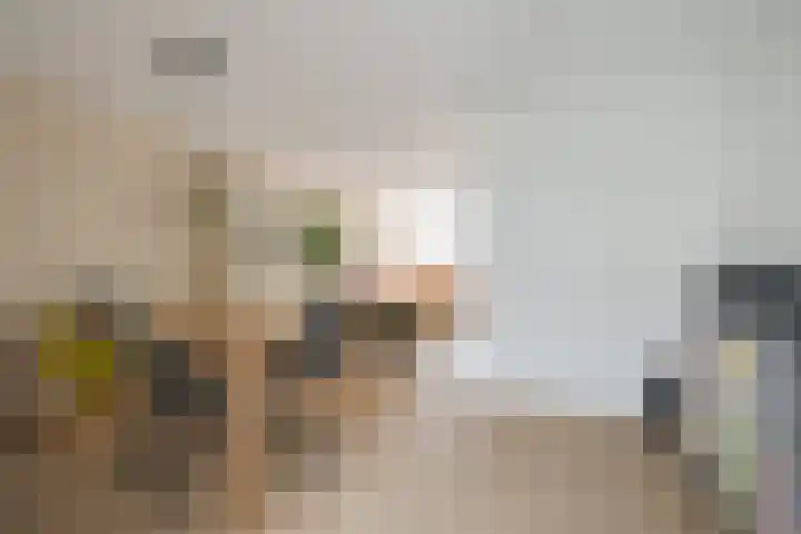 Ravenbos 1 Chaam thumbnail 21