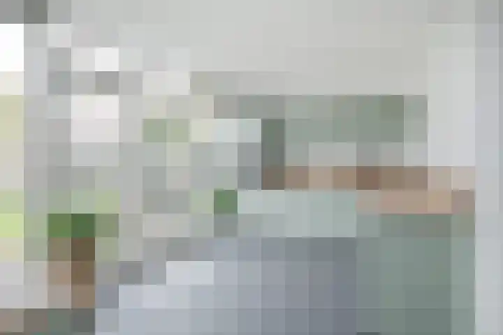 Ravenbos 1 Chaam thumbnail 23