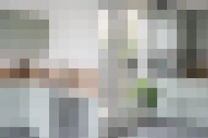 Ravenbos 1 Chaam thumbnail 27