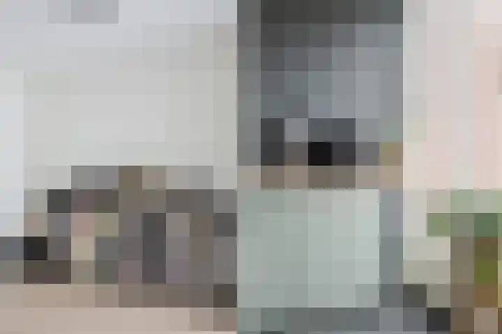 Ravenbos 1 Chaam thumbnail 30