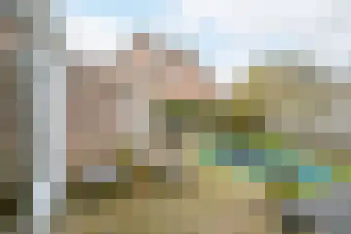 Ravenbos 1 Chaam thumbnail 32