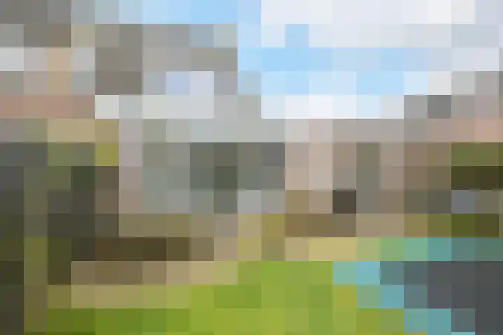Ravenbos 1 Chaam thumbnail 34