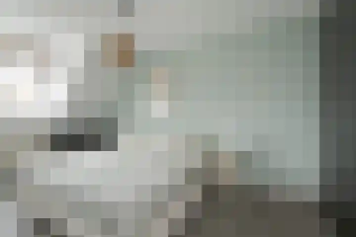 Ravenbos 1 Chaam thumbnail 43