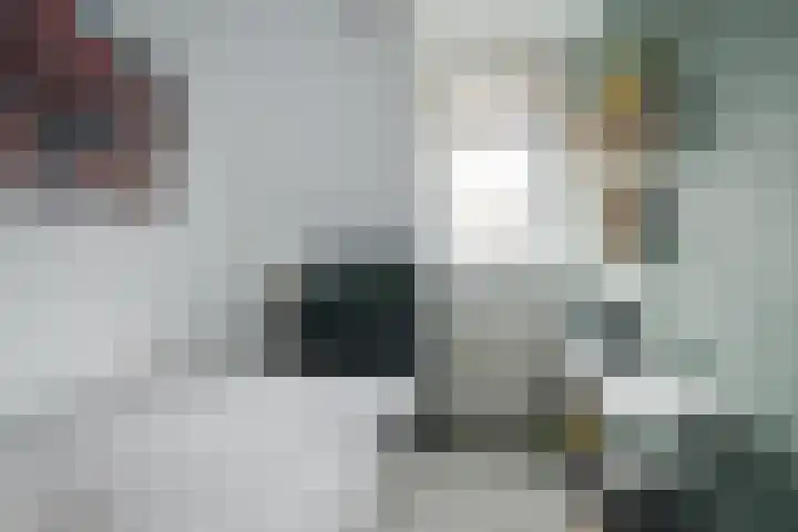 Ravenbos 1 Chaam thumbnail 46