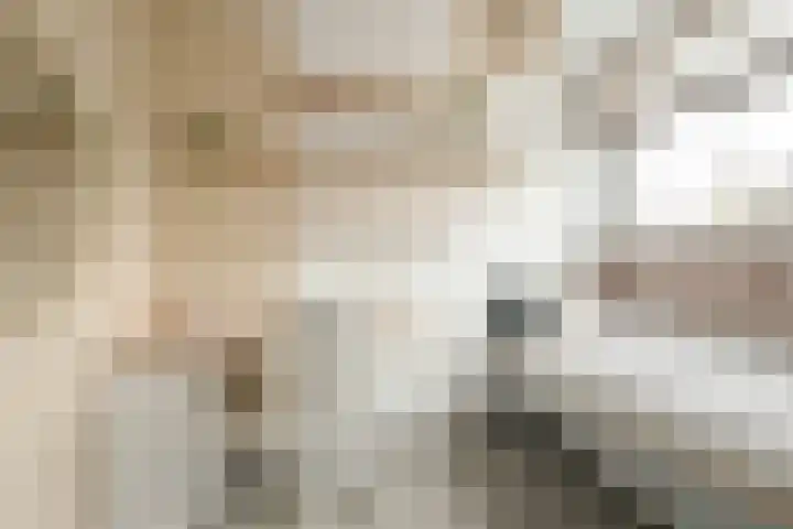 Ravenbos 1 Chaam thumbnail 48