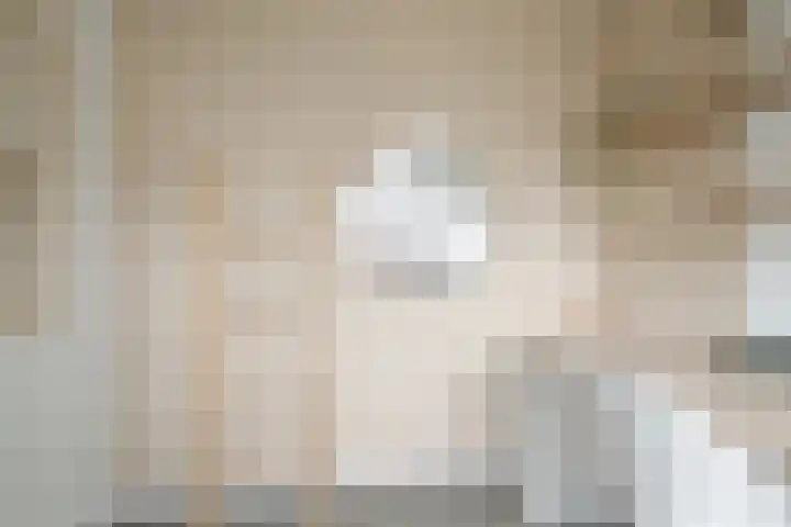 Ravenbos 1 Chaam thumbnail 49