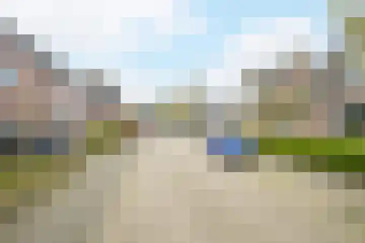 Ravenbos 1 Chaam thumbnail 57