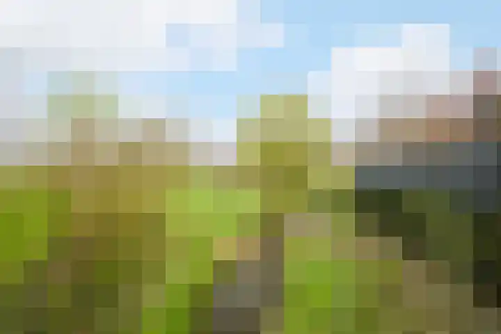 Ravenbos 1 Chaam thumbnail 60