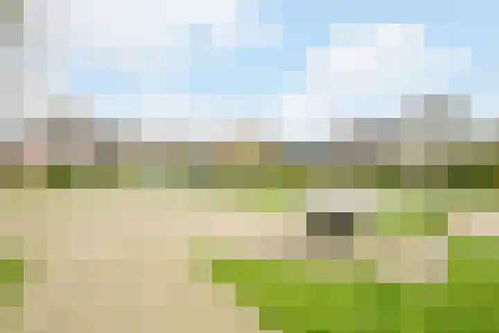 Ravenbos 1 Chaam thumbnail 62