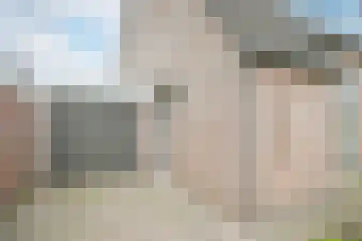 Ravenbos 1 Chaam thumbnail 8