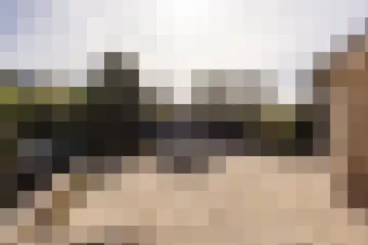 Ravenhorst 28 Leusden thumbnail 40