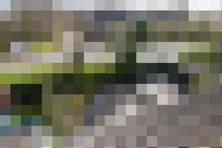 Ravenhorst 28 Leusden thumbnail 41