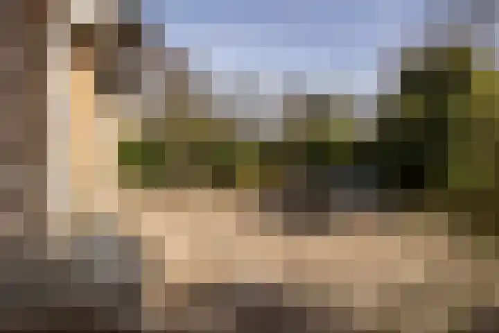 Ravenhorst 28 Leusden thumbnail 45
