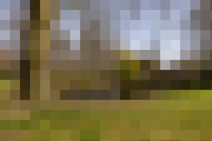 Ravenhorst 28 Leusden thumbnail 49