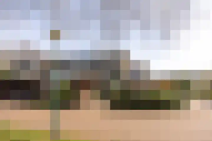 Ravenhorst 28 Leusden thumbnail 50