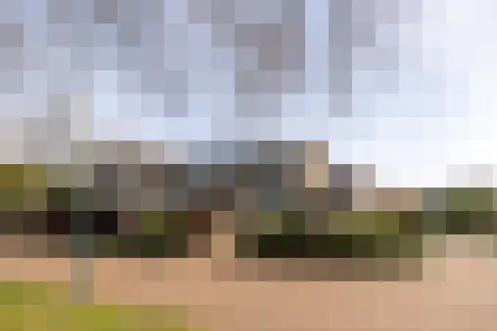 Ravenhorst 28 Leusden thumbnail 52