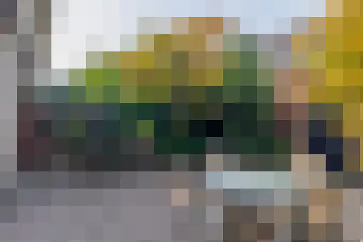 Ravenhorst 31 Rotterdam thumbnail 19
