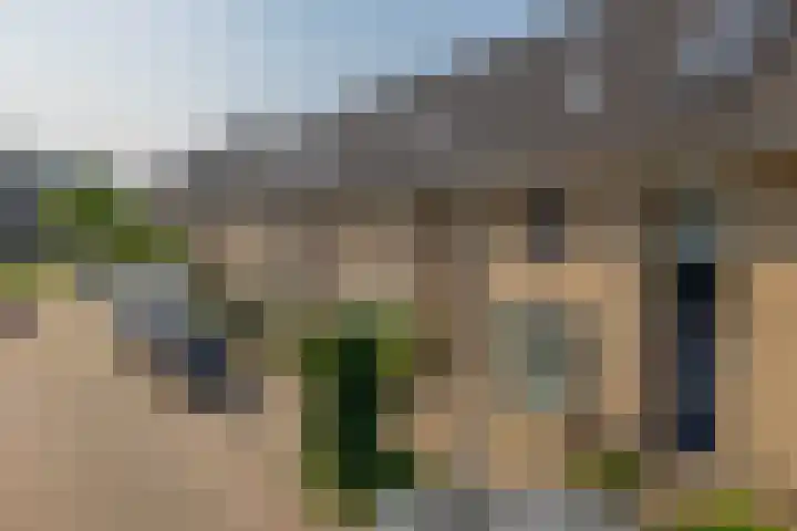 Ravenhorst 31 Rotterdam thumbnail 5