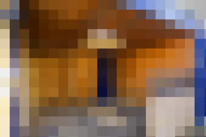 Ravensdonk 27 Eindhoven thumbnail 43