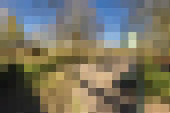 Ravensdonk 27 Eindhoven thumbnail 46