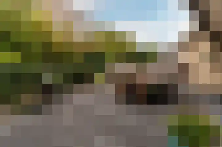 Razeil 36 Almere thumbnail 32