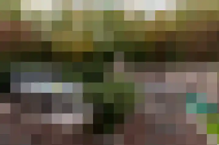 Razeil 36 Almere thumbnail 34