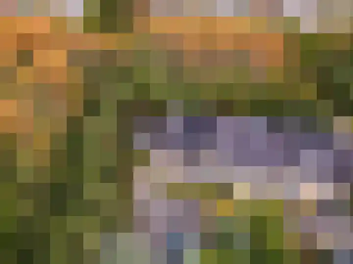 Razeil 36 Almere thumbnail 39