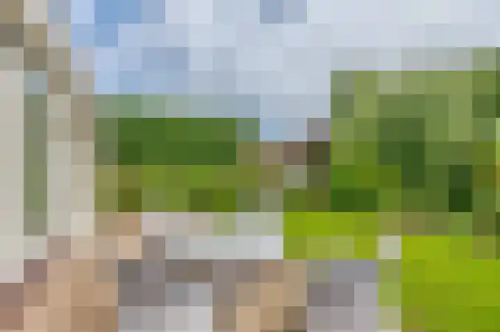 Team foto van RE/MAX Centraal