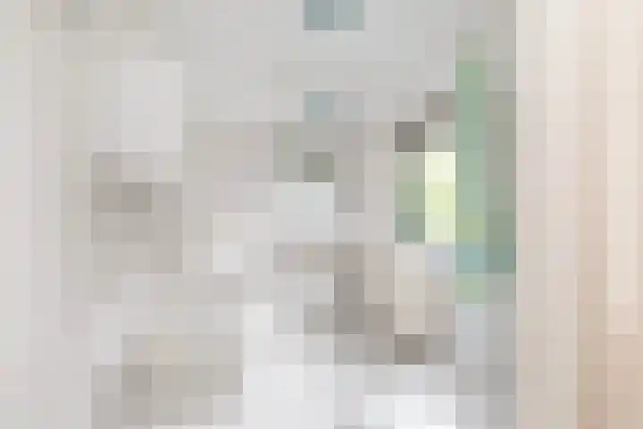 Reaal 5 Dronten thumbnail 30