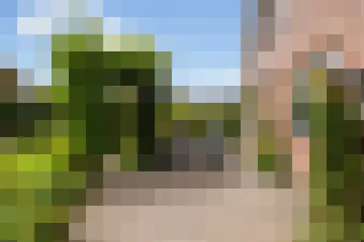 Reaal 5 Dronten thumbnail 31