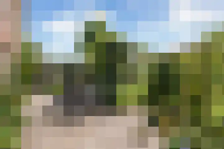 Reaal 5 Dronten thumbnail 33