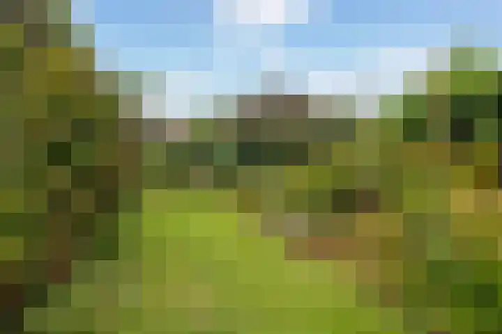 Reaal 5 Dronten thumbnail 35