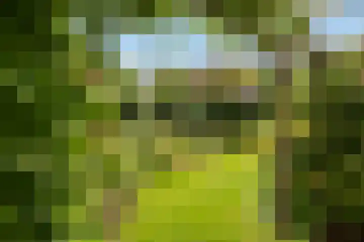 Reaal 5 Dronten thumbnail 37