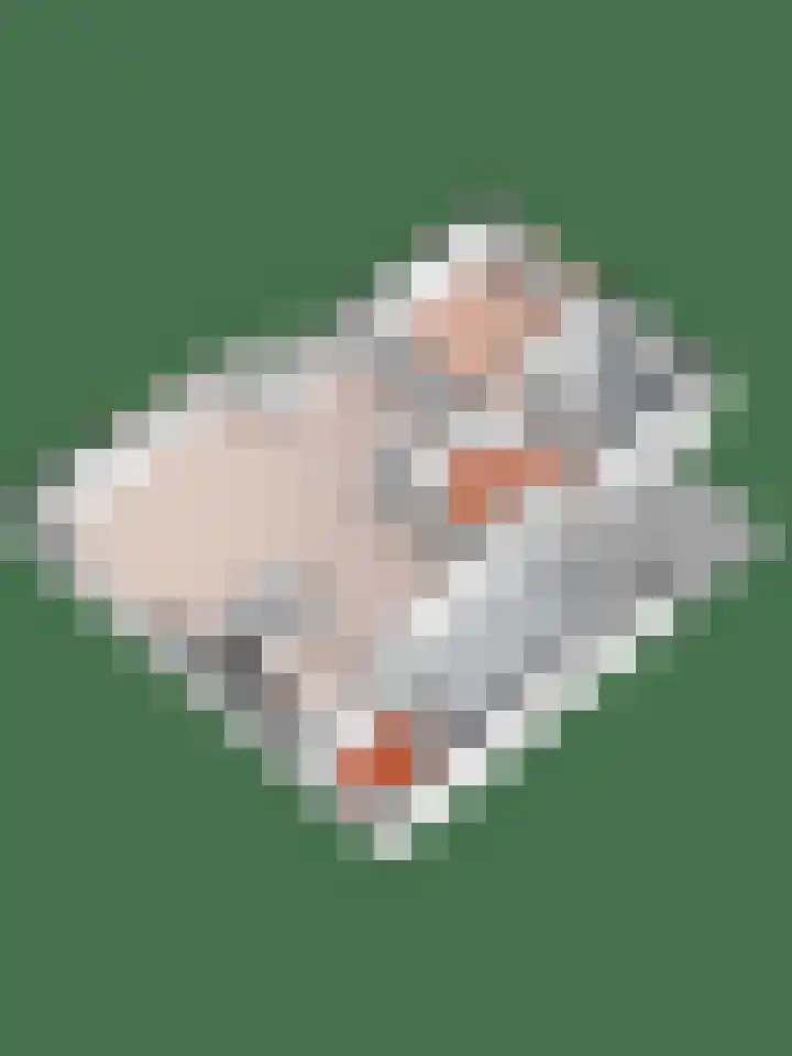 Reaal 5 Dronten thumbnail 41