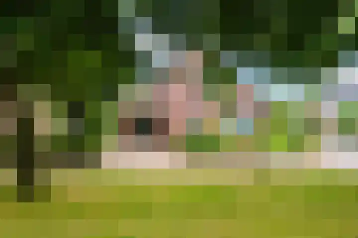 Reaal 5 Dronten thumbnail 6