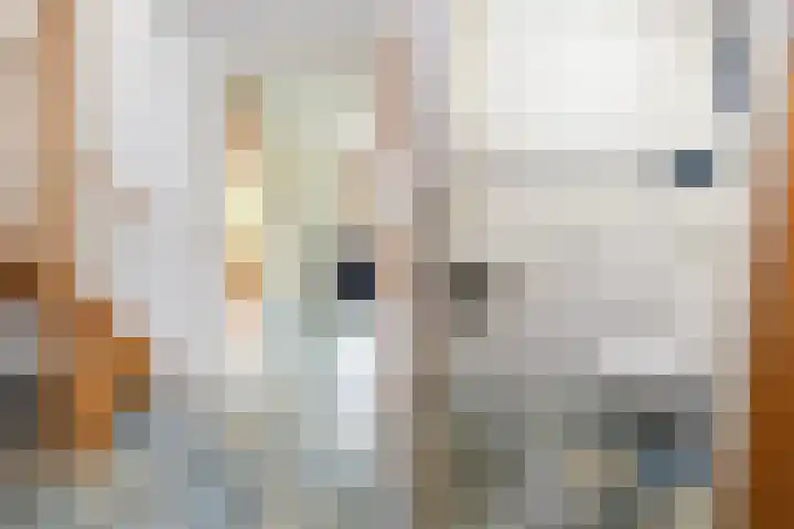 Reaal 5 Dronten thumbnail 9