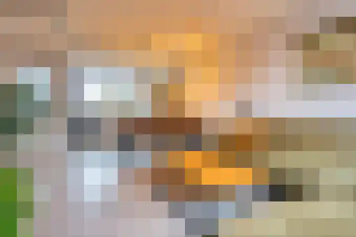 Reaal 55 Hoorn thumbnail 12