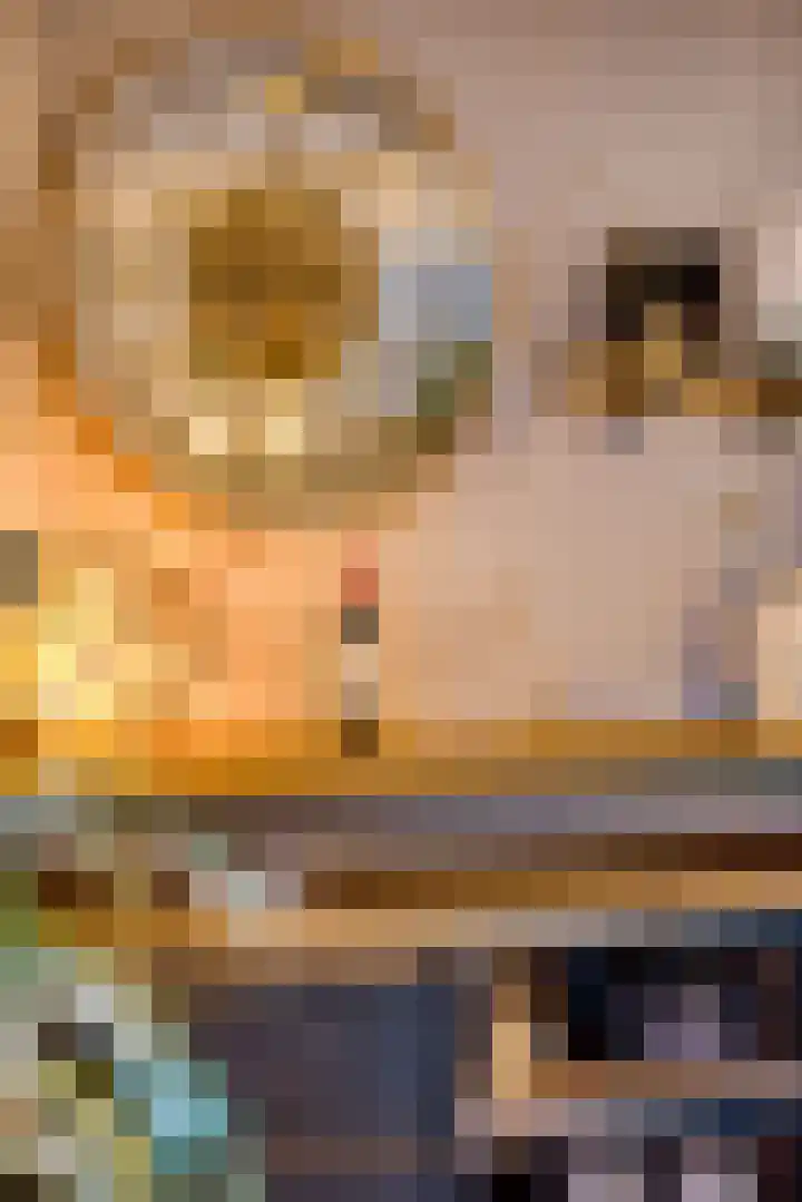 Reaal 55 Hoorn thumbnail 22