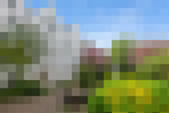 Realengracht 138 Amsterdam thumbnail 20