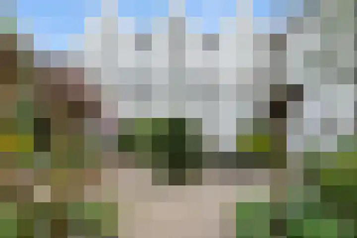 Realengracht 138 Amsterdam thumbnail 5