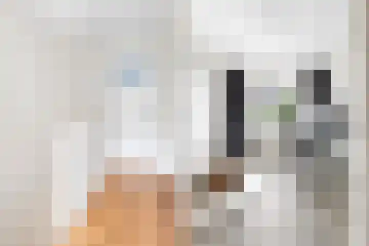 Reaumurlaan 16 Hilversum thumbnail 13