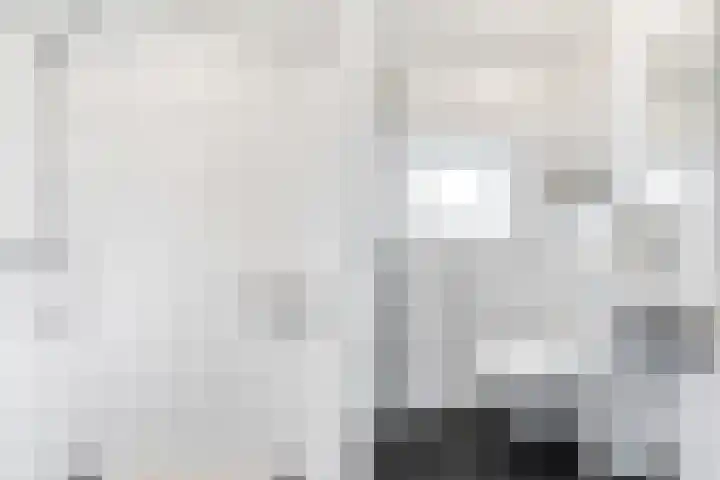 Reaumurlaan 16 Hilversum thumbnail 17