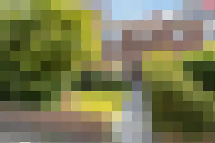 Reaumurlaan 16 Hilversum thumbnail 26