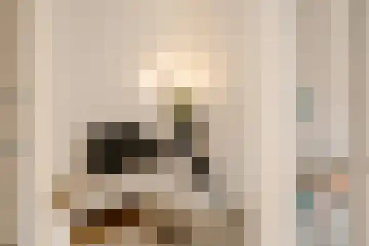 Logo REBO Vastgoed Groep | Wonen