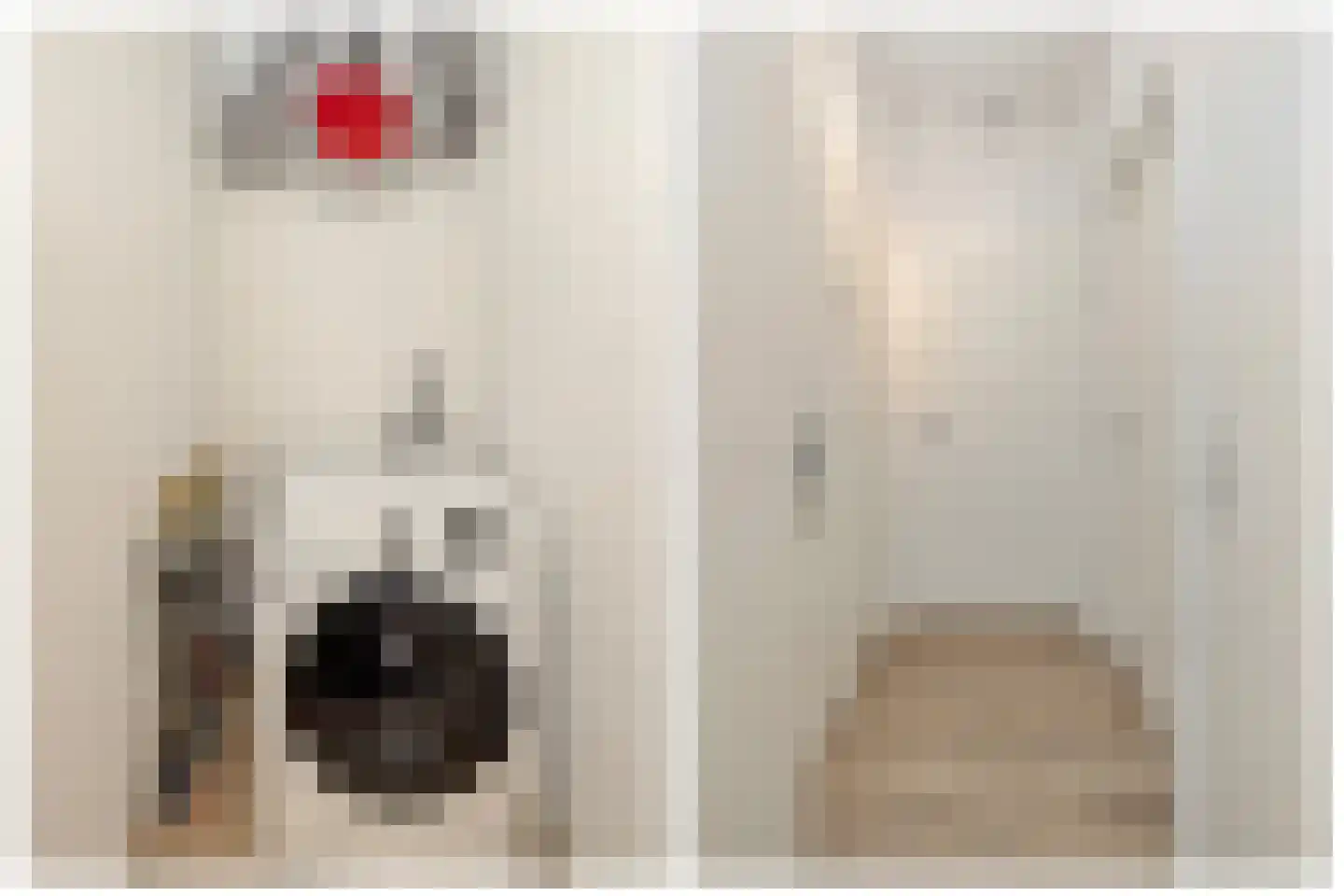 Logo REBO Vastgoed Groep | Wonen