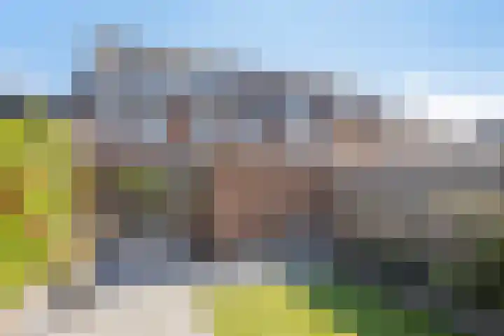 Rechterenstraat 8 Arnhem thumbnail 5