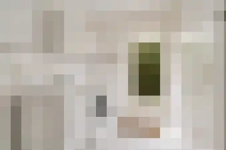 Rechterlaan 8 Enschede thumbnail 16