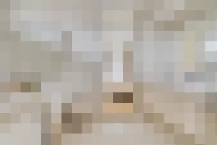 Rechterlaan 8 Enschede thumbnail 20